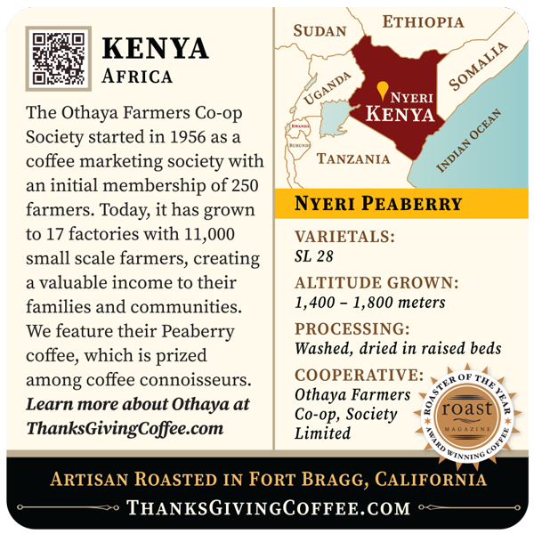 Kenya - Nyeri Peaberry