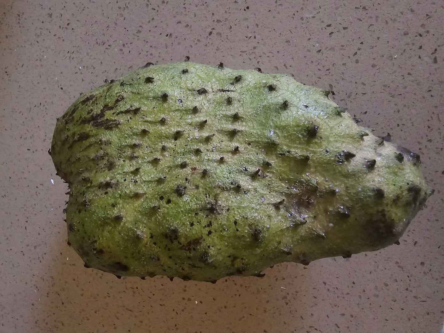 Soursop Sea Moss Gel | Organic Superfood