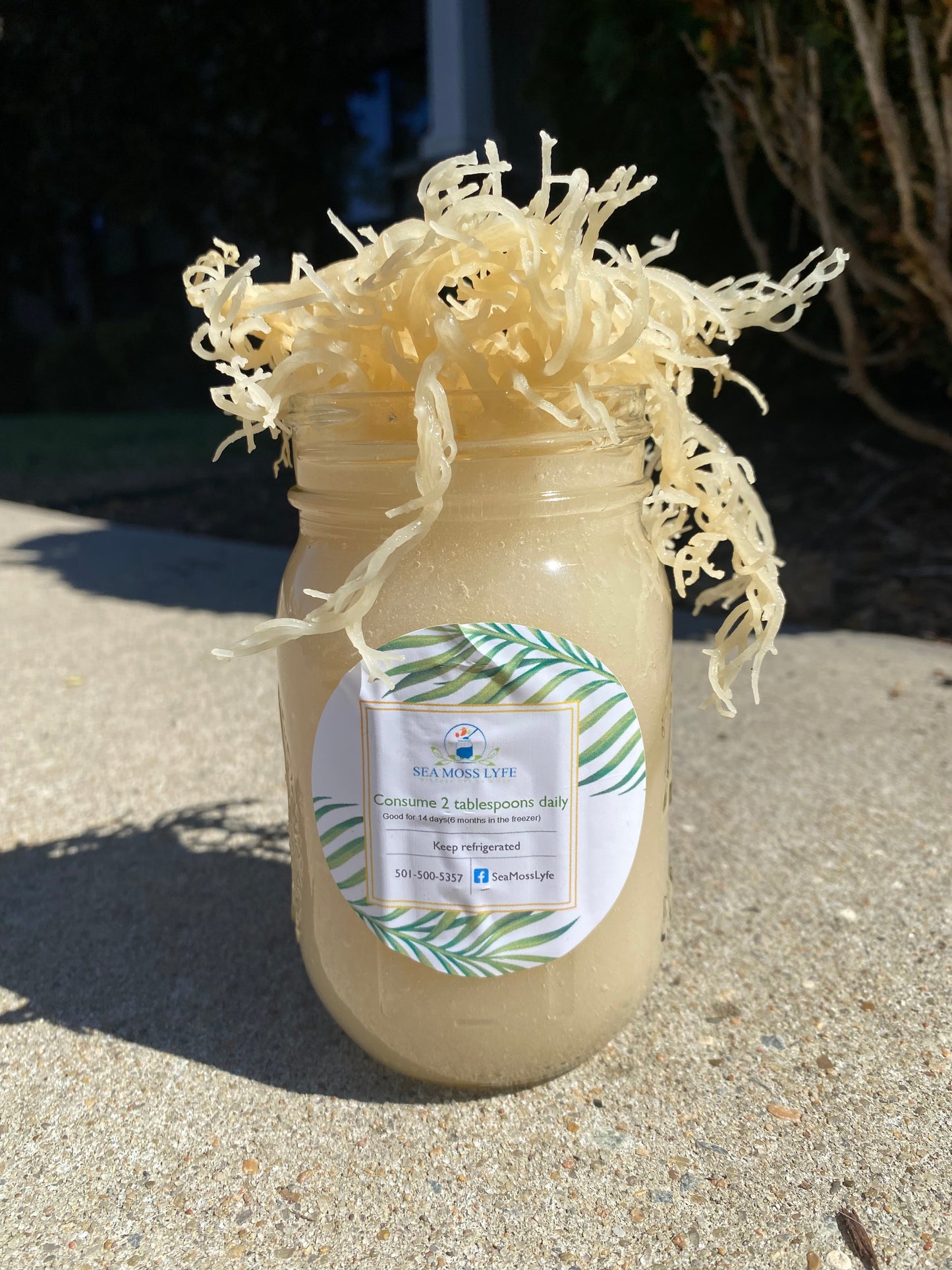 Plain Sea Moss Gel 16oz