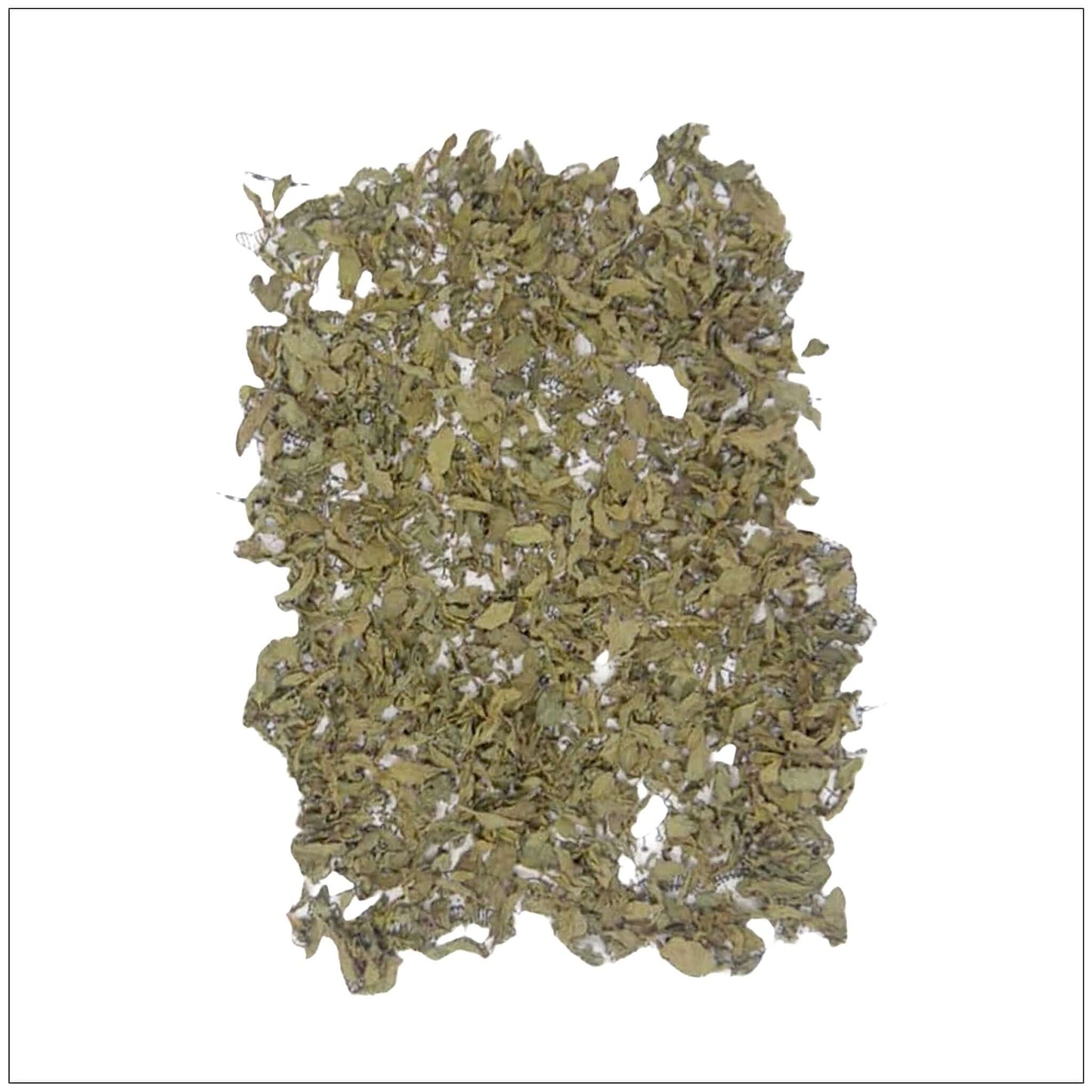 Dry Mint Leaves