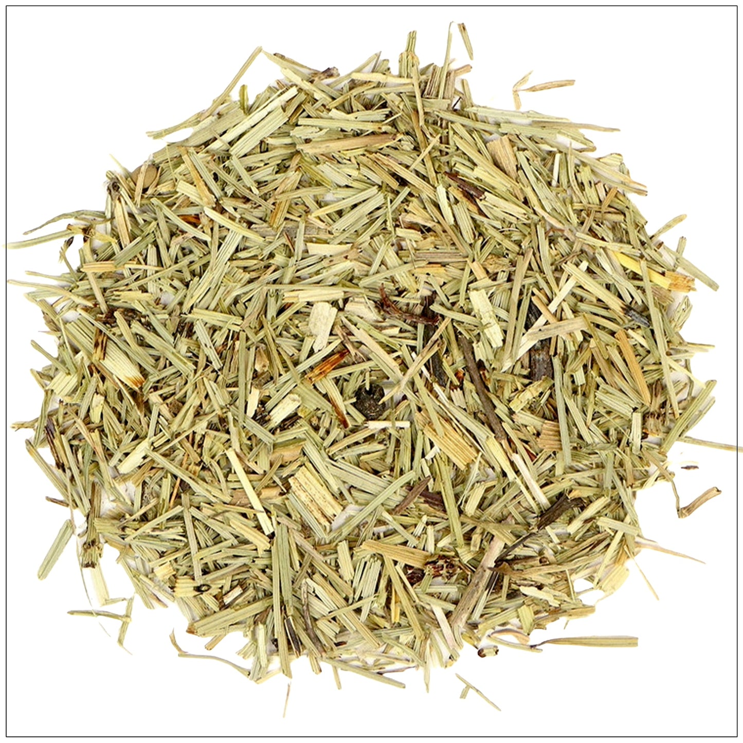 Horsetail Herb