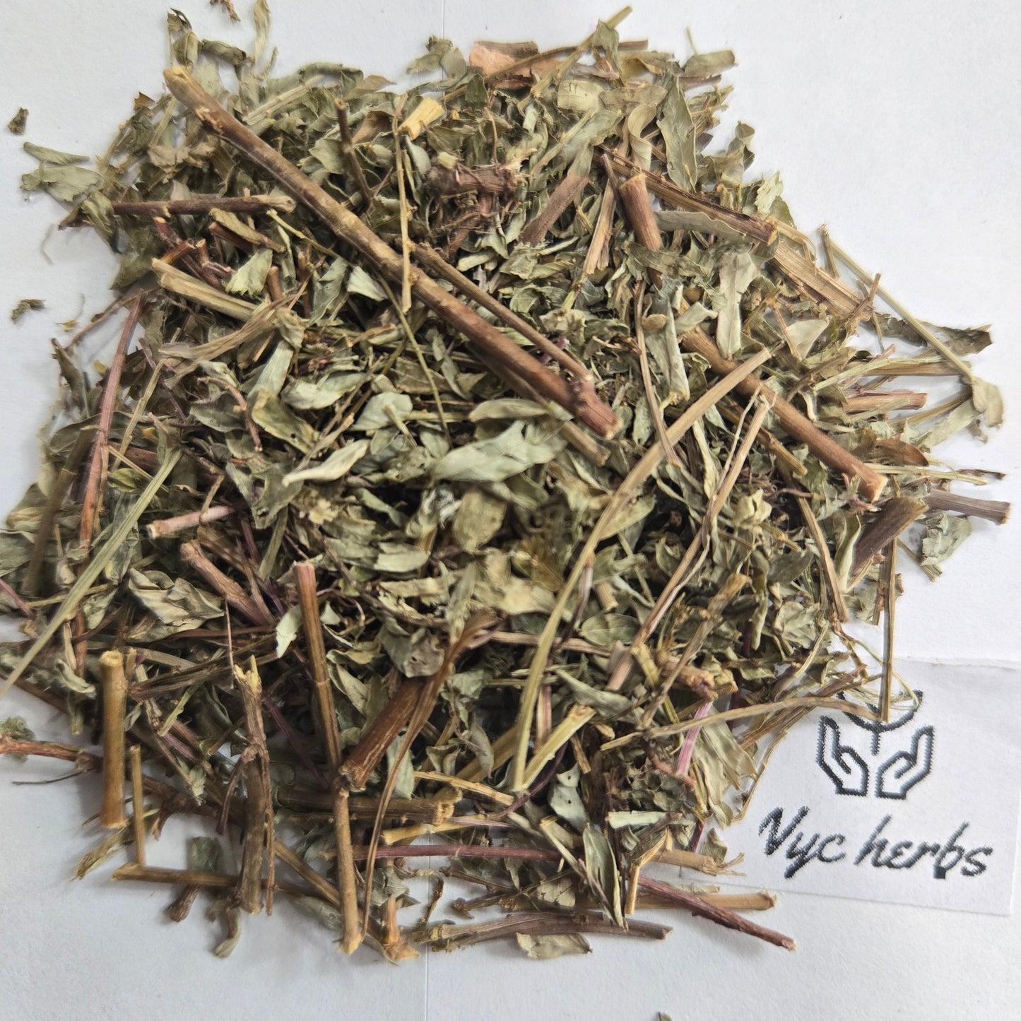 Chanca Piedra | Kidney & Gallbladder Support