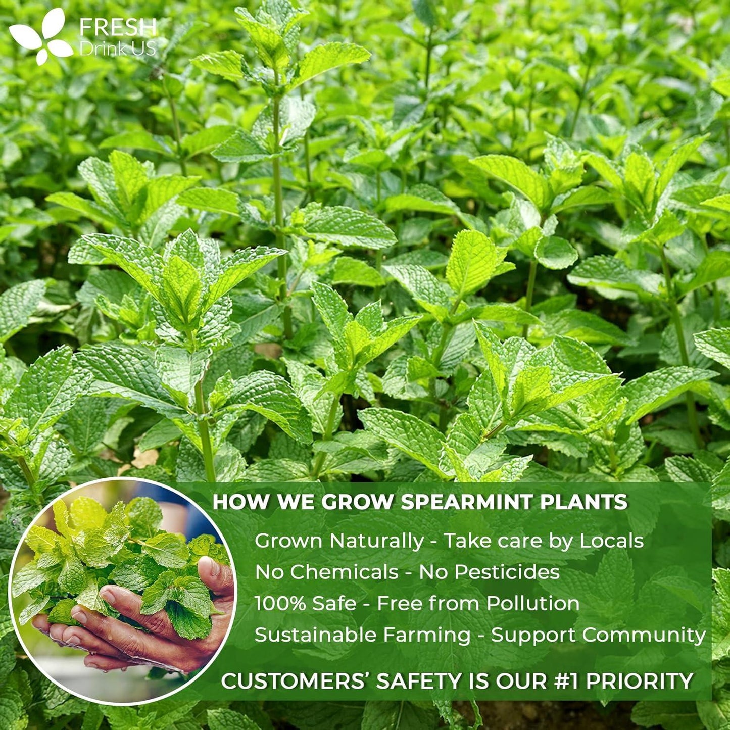 Spearmint Tea Bags, 100% Natural & Pure Spearmint Leaves. Loose Leaf Spearmint Herbal Tea. Spearmint Leaf Tea. No Sugar, No Caffeine, No Gluten, Vegan.