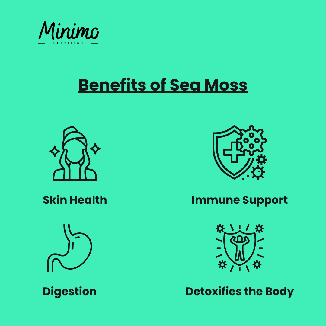 Sea Moss with Bladderwrack and Burdock Root