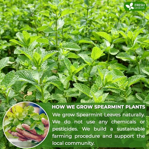 Cooling Heart & Mood Soother Duo, Hibiscus Flower & Spearmint Leaf Herbal Tea Bags, 100% Natural & Pure Flowers and Leaves, No Sugar, No Caffeine, No Gluten, Vegan – Herbal Beverage