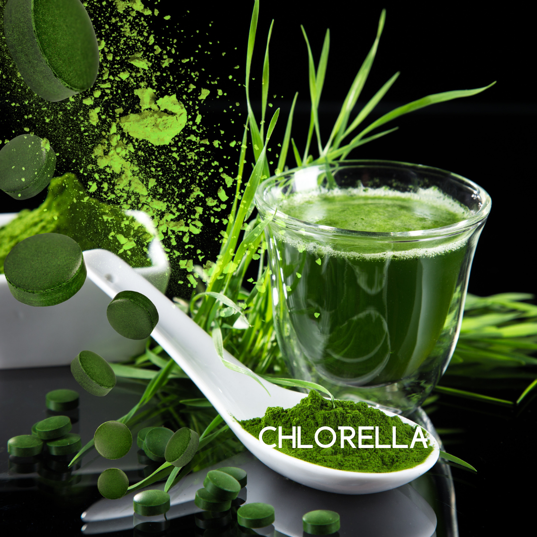 My Balance Colon Cleanse – Gentle Herbal Support for Digestive Balance