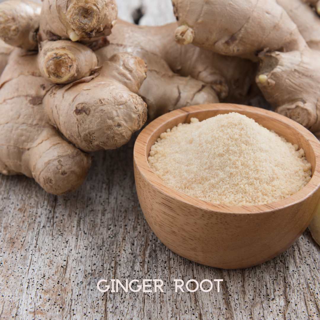 My Balance Colon Cleanse – Gentle Herbal Support for Digestive Balance