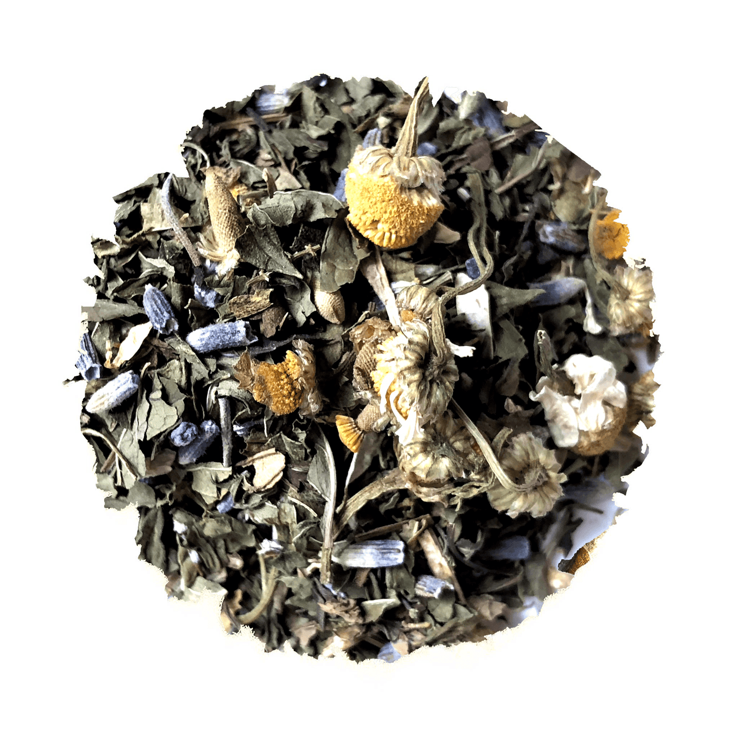 Embrace The Beach Life Iced Blend Tea