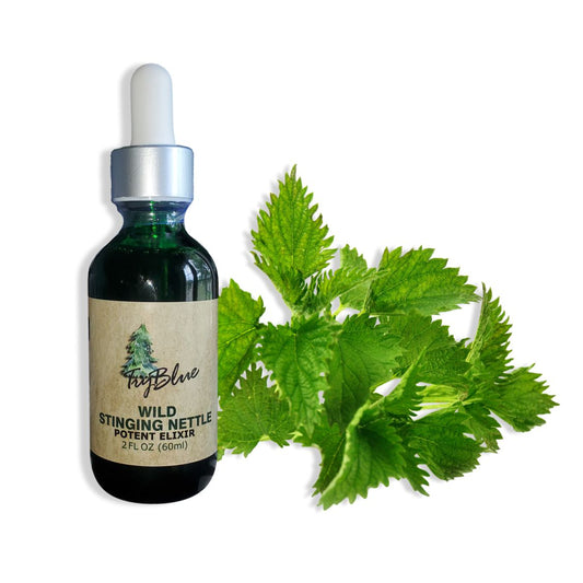 Wild Stinging Nettle Elixir