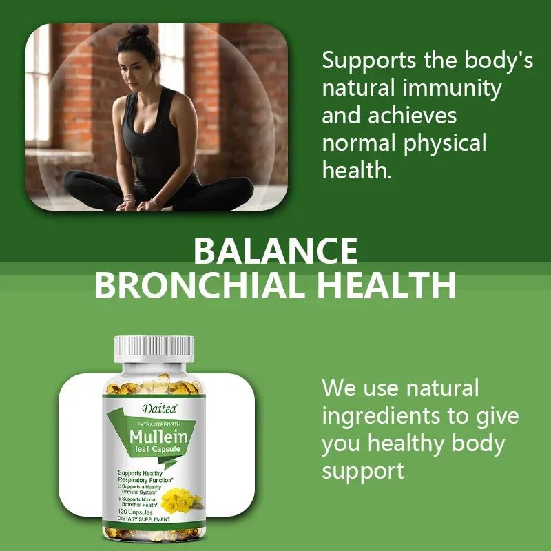High Potency Mullein Extract