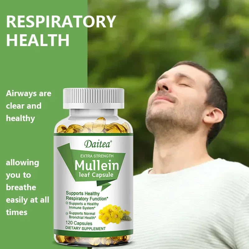 High Potency Mullein Extract