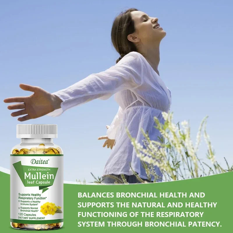 High Potency Mullein Extract