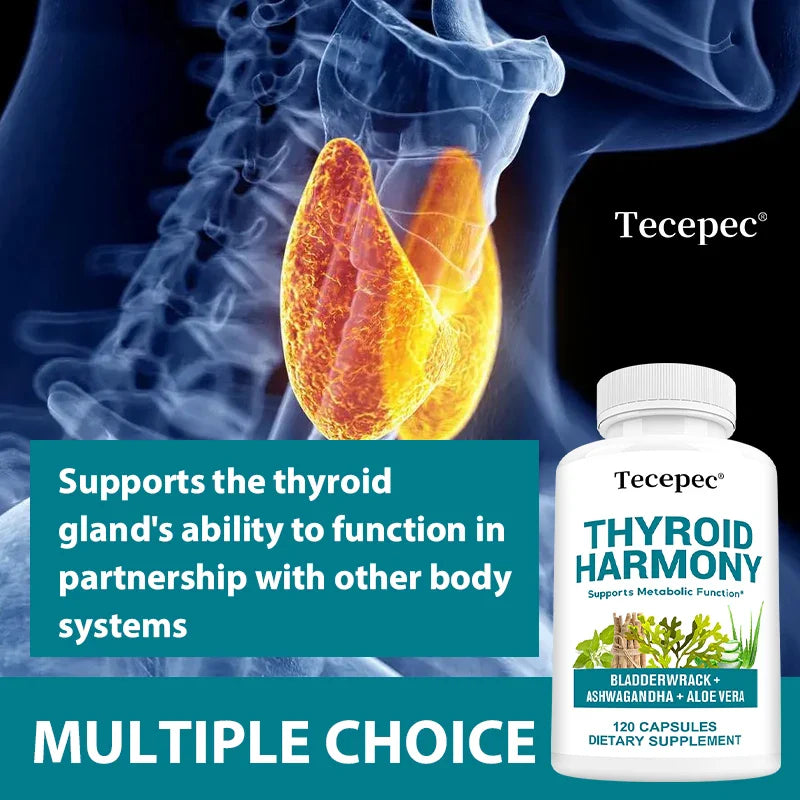 Multivitamin and Mineral Supplement - Supports Immune Health, Regulates Mood, Relieves Fatigue, Balances Blood Sugar