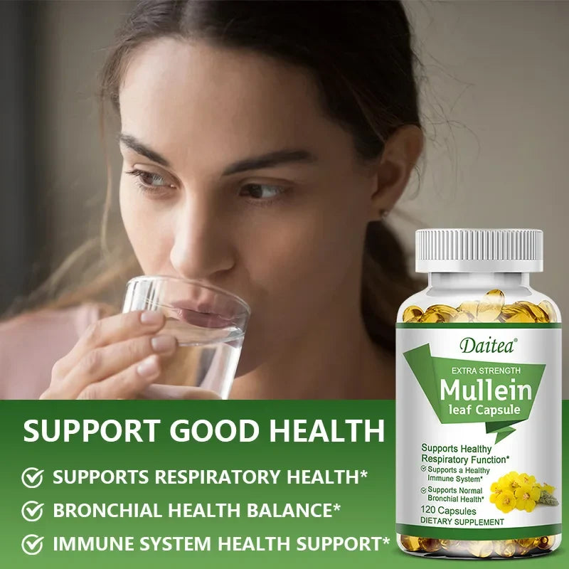 High Potency Mullein Extract
