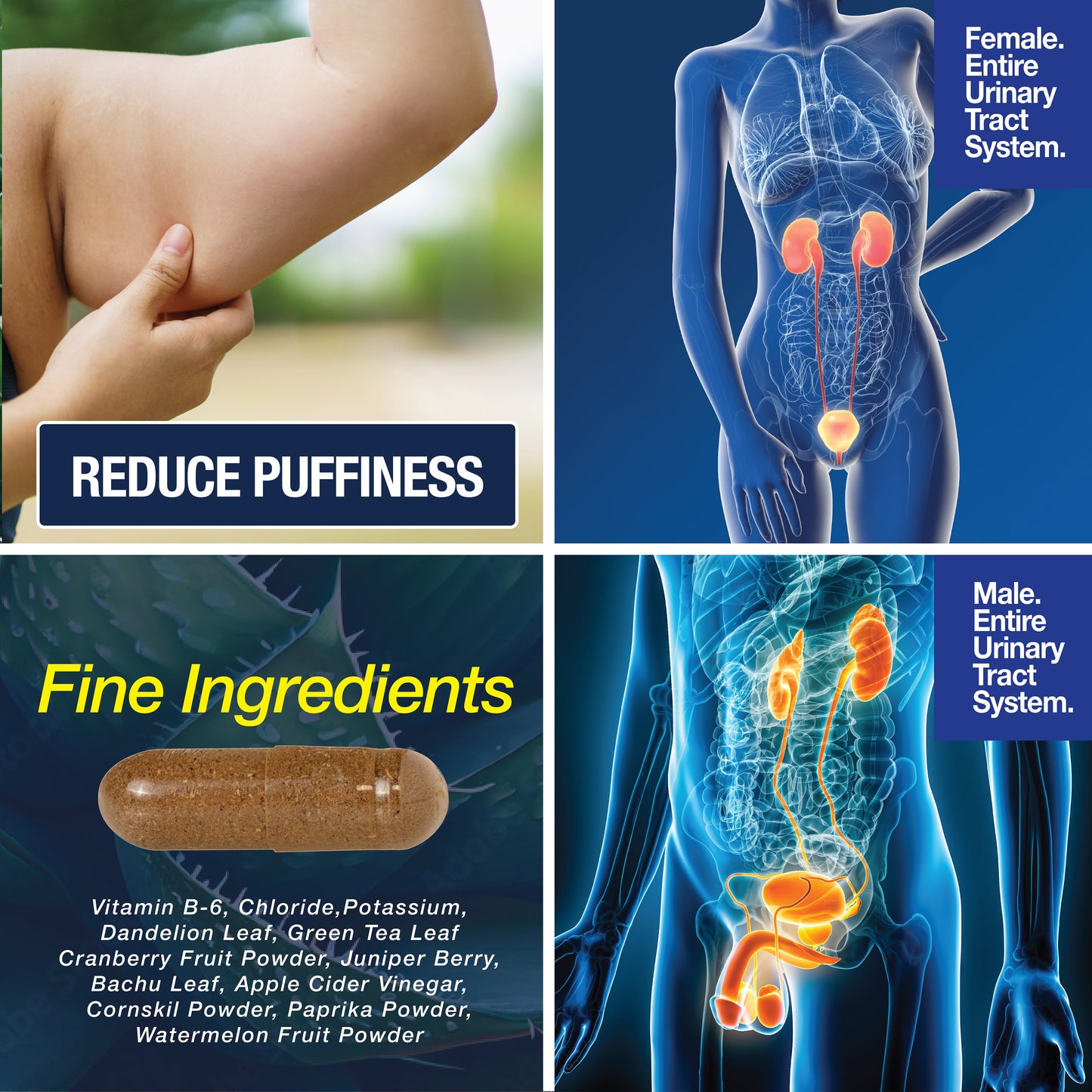 Water Away - Water Retention and Flushing, Aids
