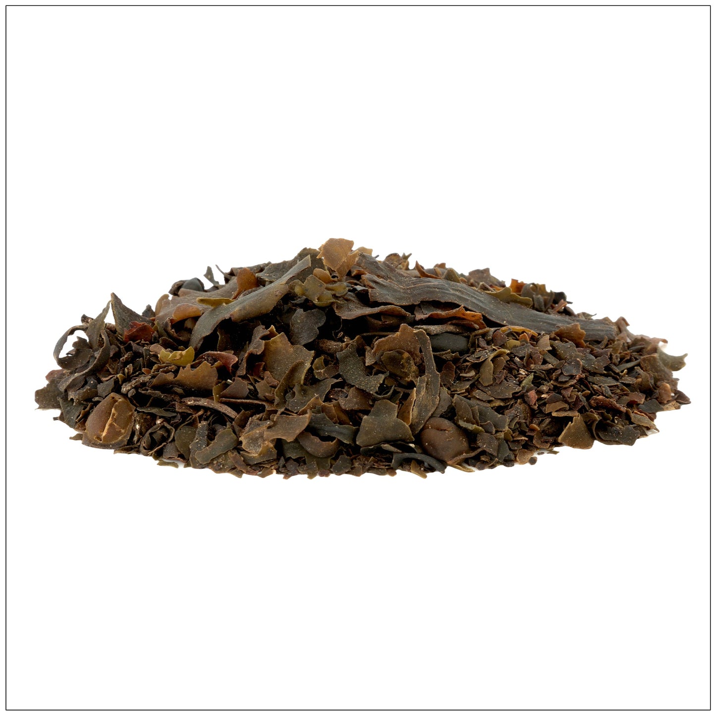 Bladderwrack