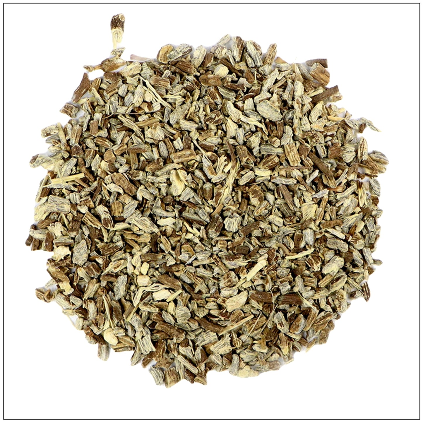 Echinacea Angustifolia Root