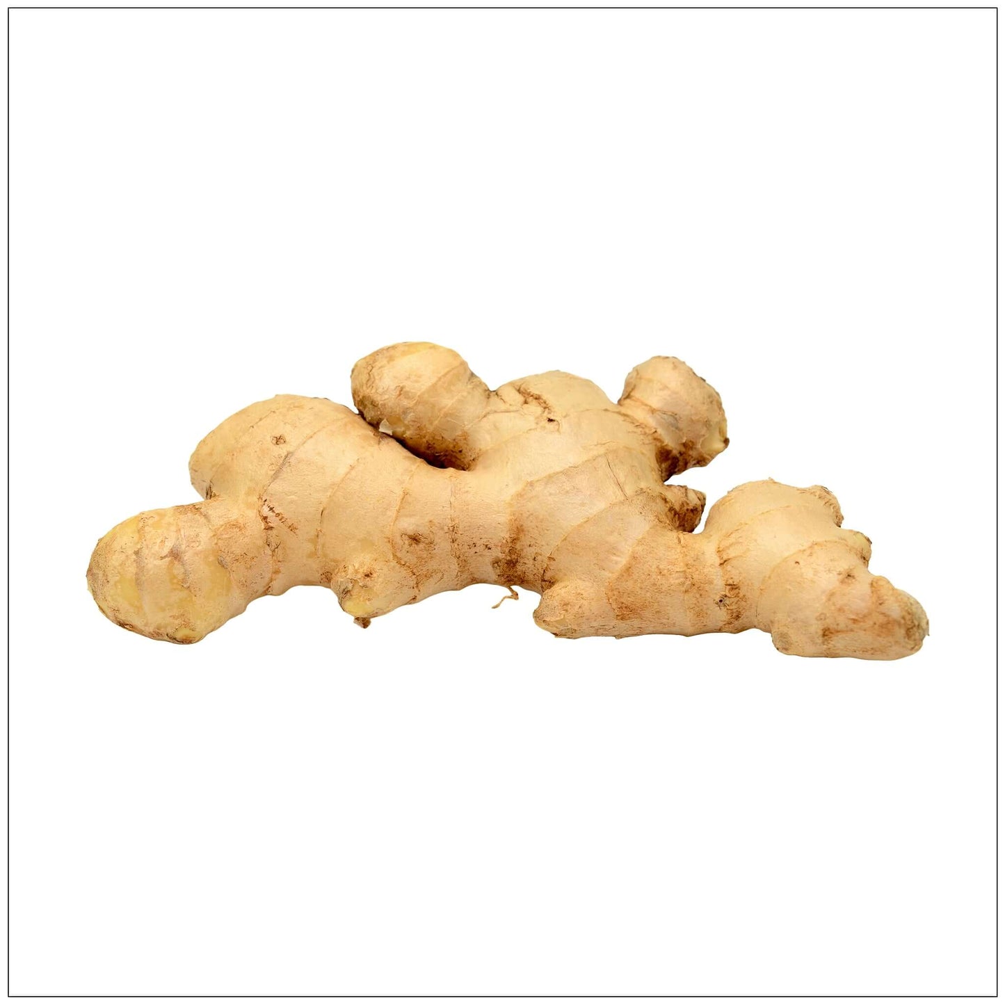 Whole Ginger Root