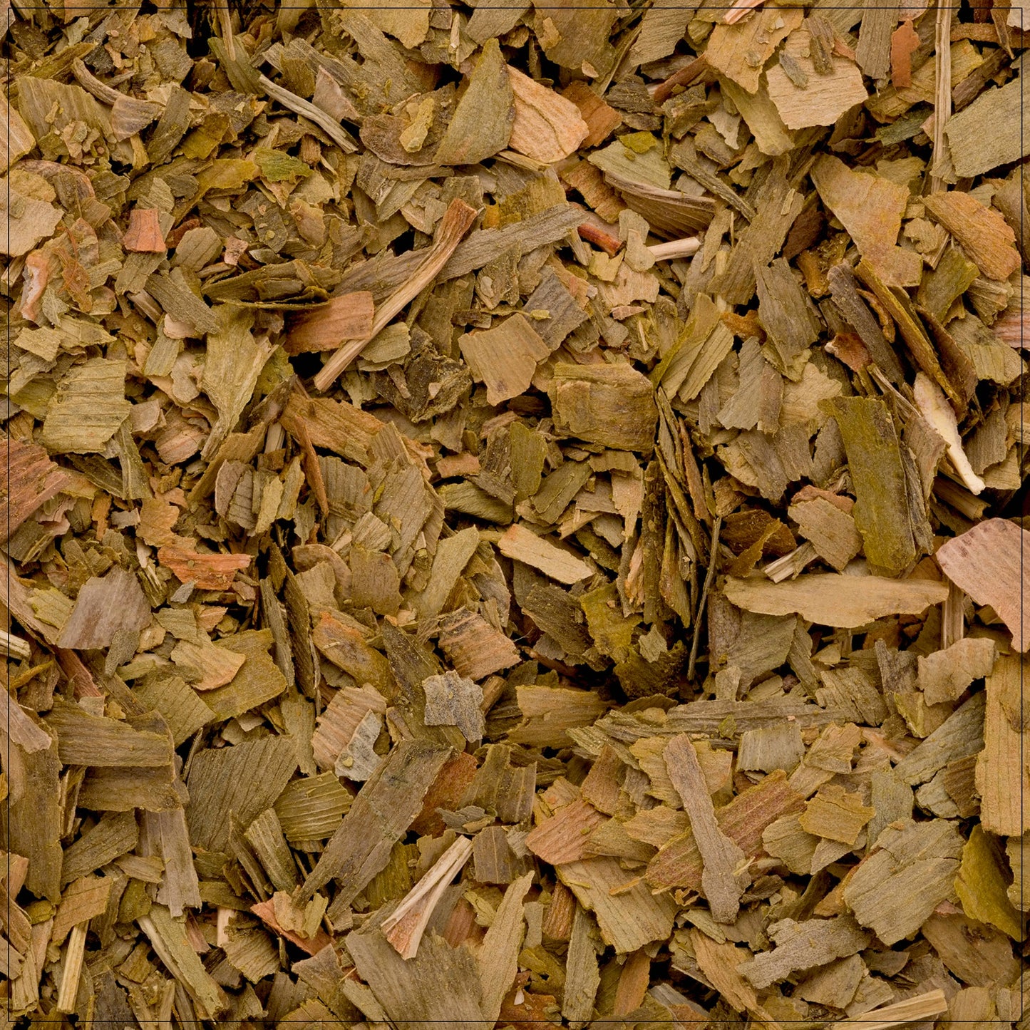 Ginkgo Leaf