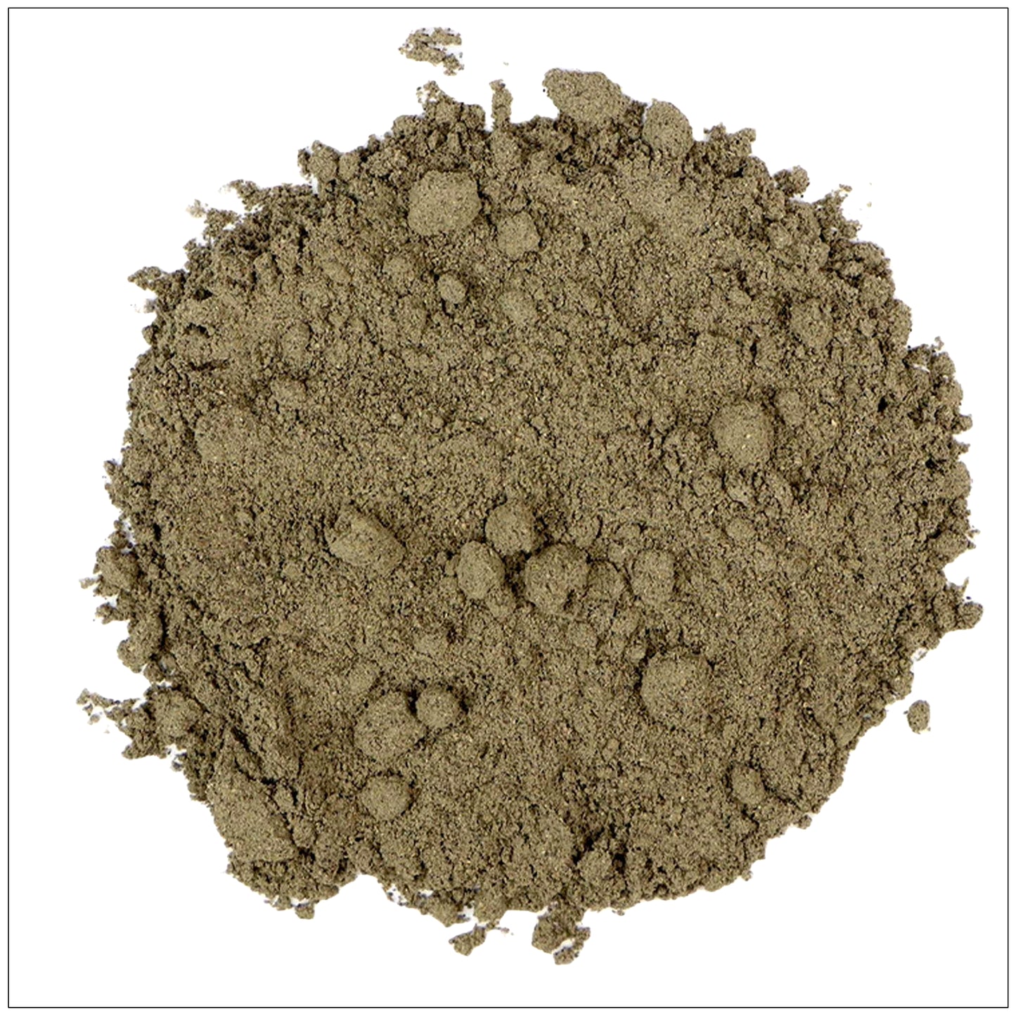 Noni Fruit Powder