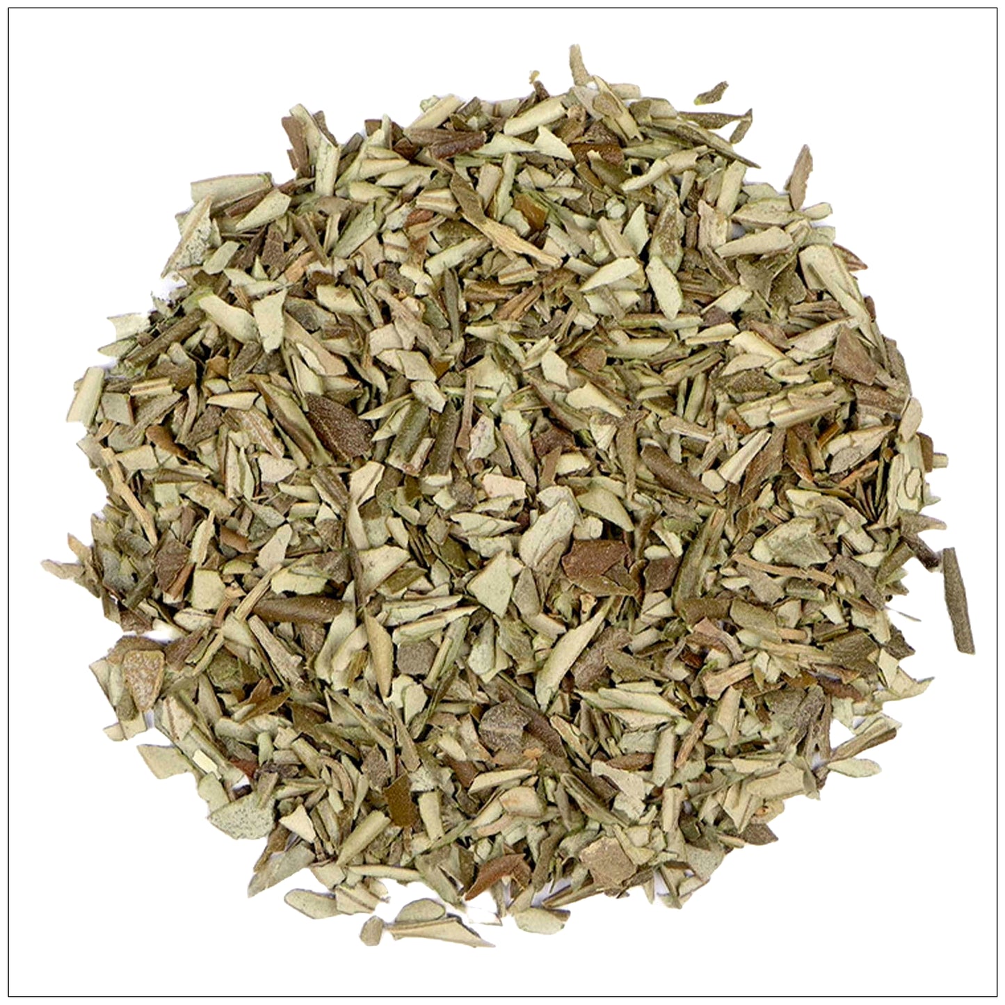 Olive Leaf