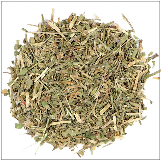 Sheep Sorrel Herb